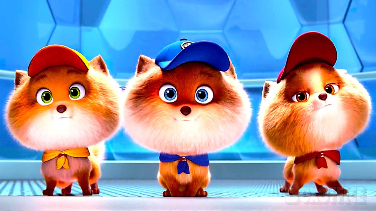 Paw Patrol: la raccolta DEFINITIVA di cani carini (migliori scene) 🌀 4K