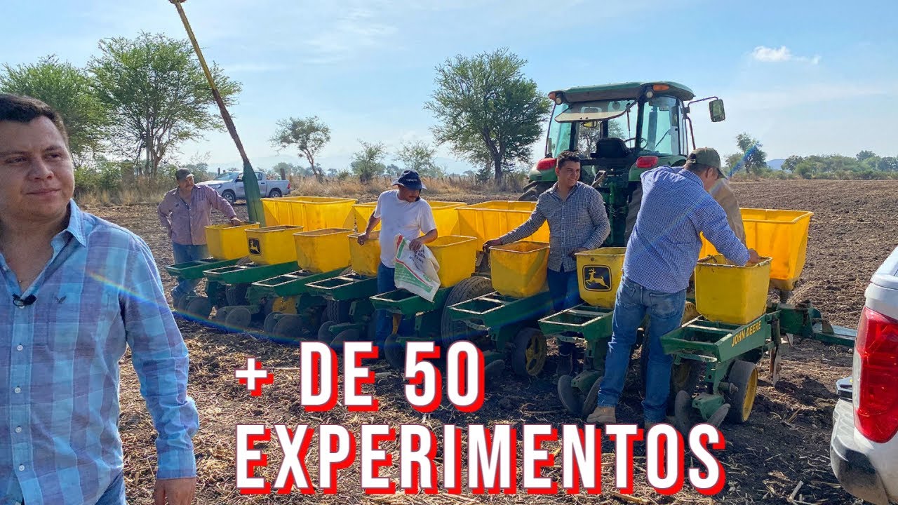Campo de entrenamiento. Realizamos pruebas en la siembra de maíz y poder ofrecer datos interesantes