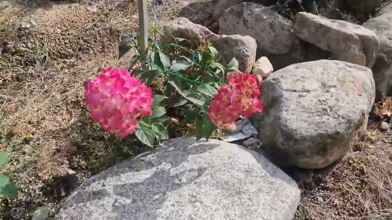 청산청수-화창한 가을