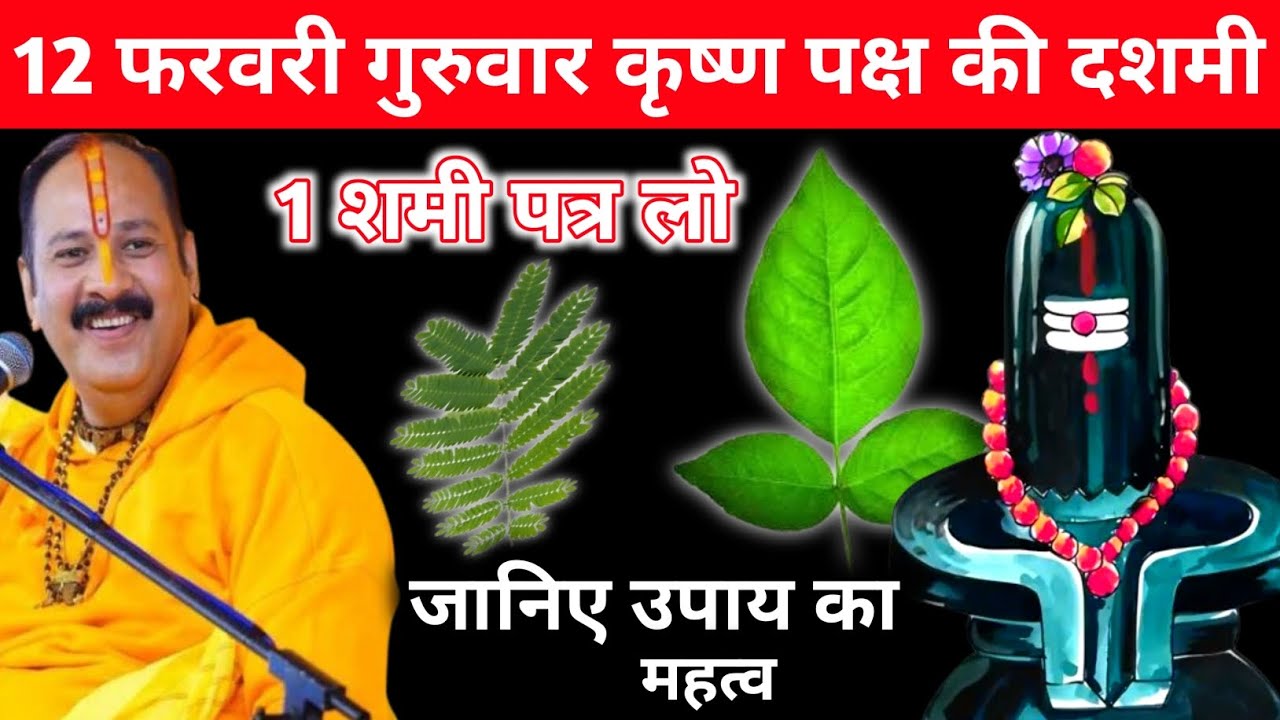 12 फरवरी गुरुवार कृष्ण पक्ष की दशमी | 1 शमी पत्र लो | Pandit Pradeep Mishra Ji 