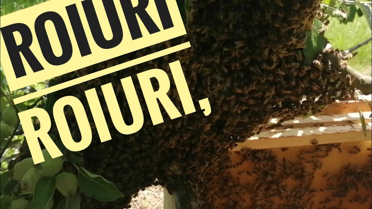 ROIURI... NATURALE!