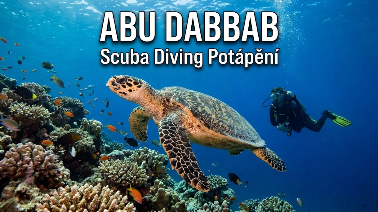 4K Potápění Abu Dabbab Marsa Alam | Ryby, korál a mořské želvy | Rudé moře | Malikia | Egypt |
