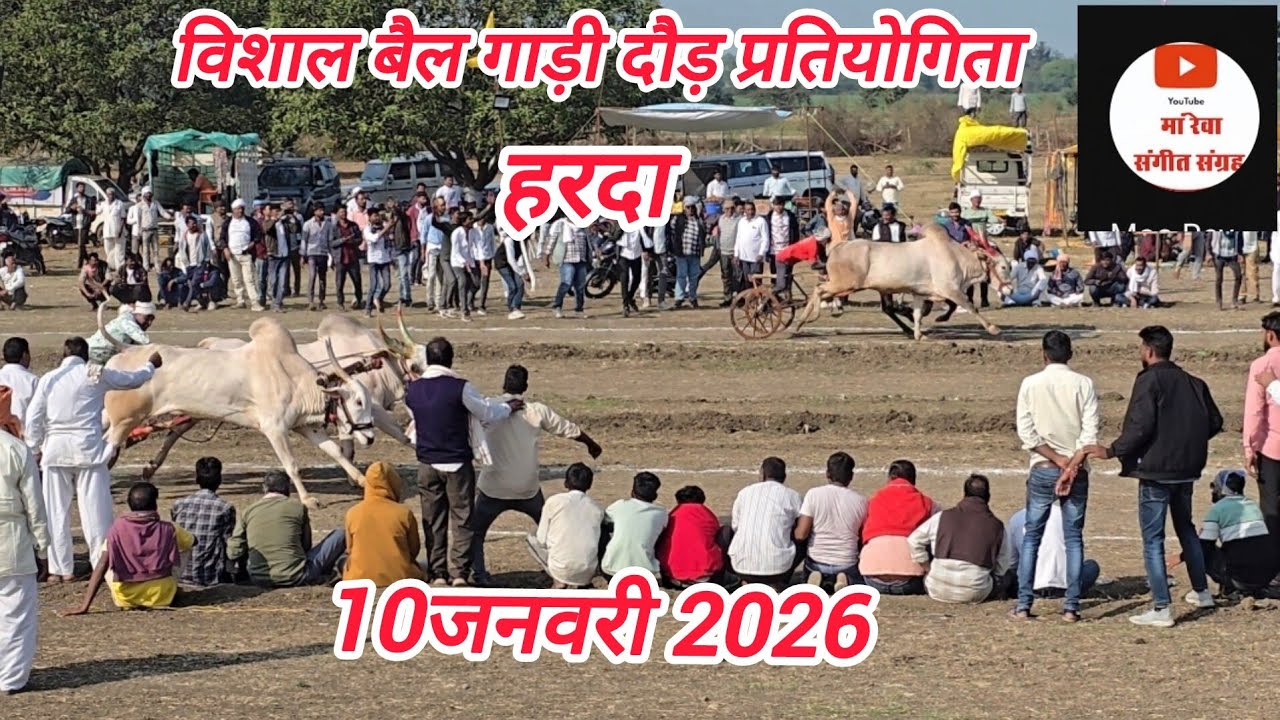 प्रथम पुरस्कार 51000 बैल जोड़ी दौड़ प्रतियोगिता जेवल्या कृषि फार्म फॉर लाइन हरदा 10 जनवरी 2026