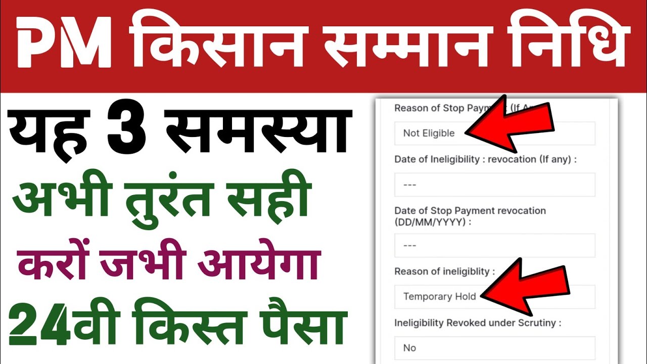Pm kisan samman nidhi not eligible - temporary hold problem kaise shy kare | Sk yojana2 