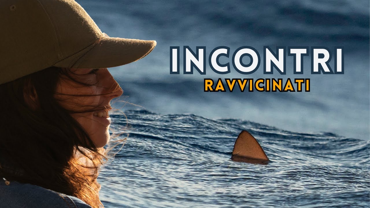 ESPERIENZA UNICA a Lanzarote | Non pensavamo potesse FINIRE COSÌ 😳🦈