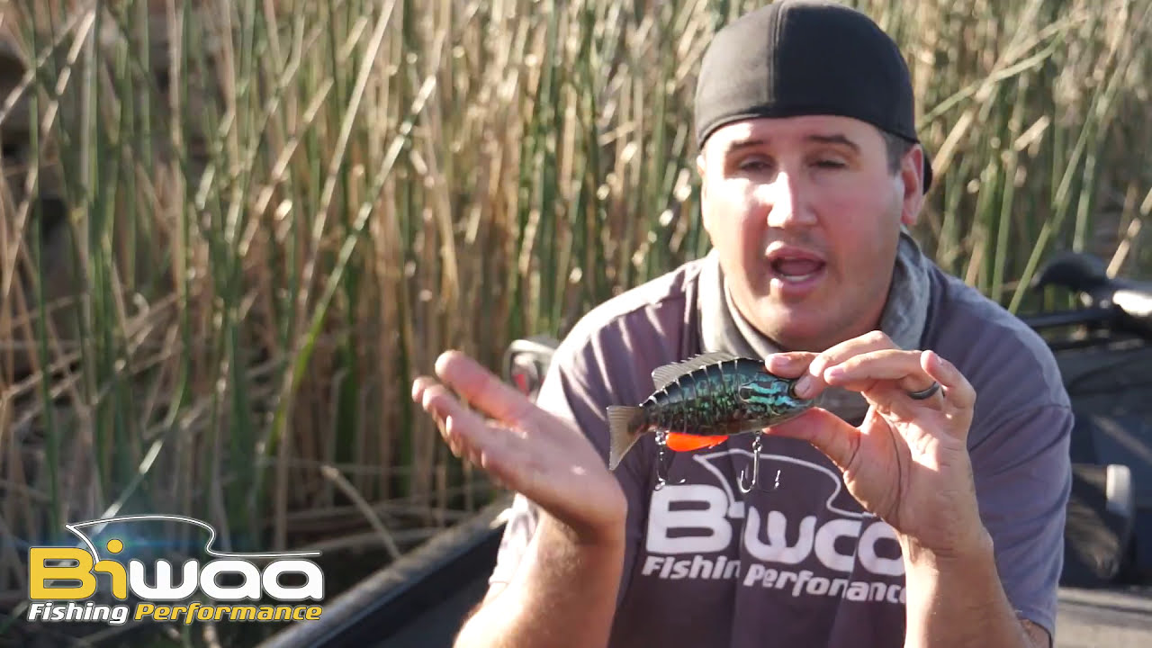 Biwaa Seven swimbait introduction | Biwaa Fishing Performance