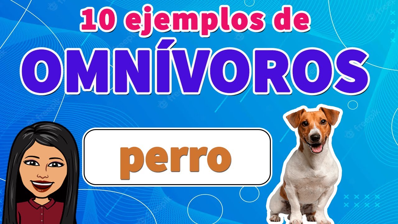 10 Ejemplos F&Aacute;CILES Animales Omn&iacute;voros I ANIMALES OMN&Iacute;VOROS EJEMPLOS I Para tu TAREA F&Aacute;CIL