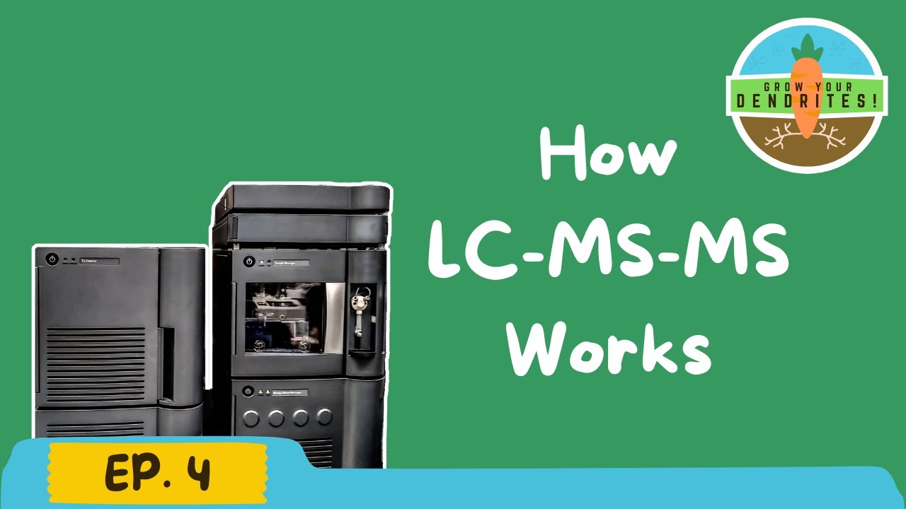 How LC-MS-MS Works