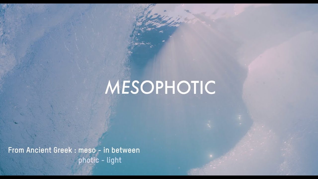 MESOPHOTIC