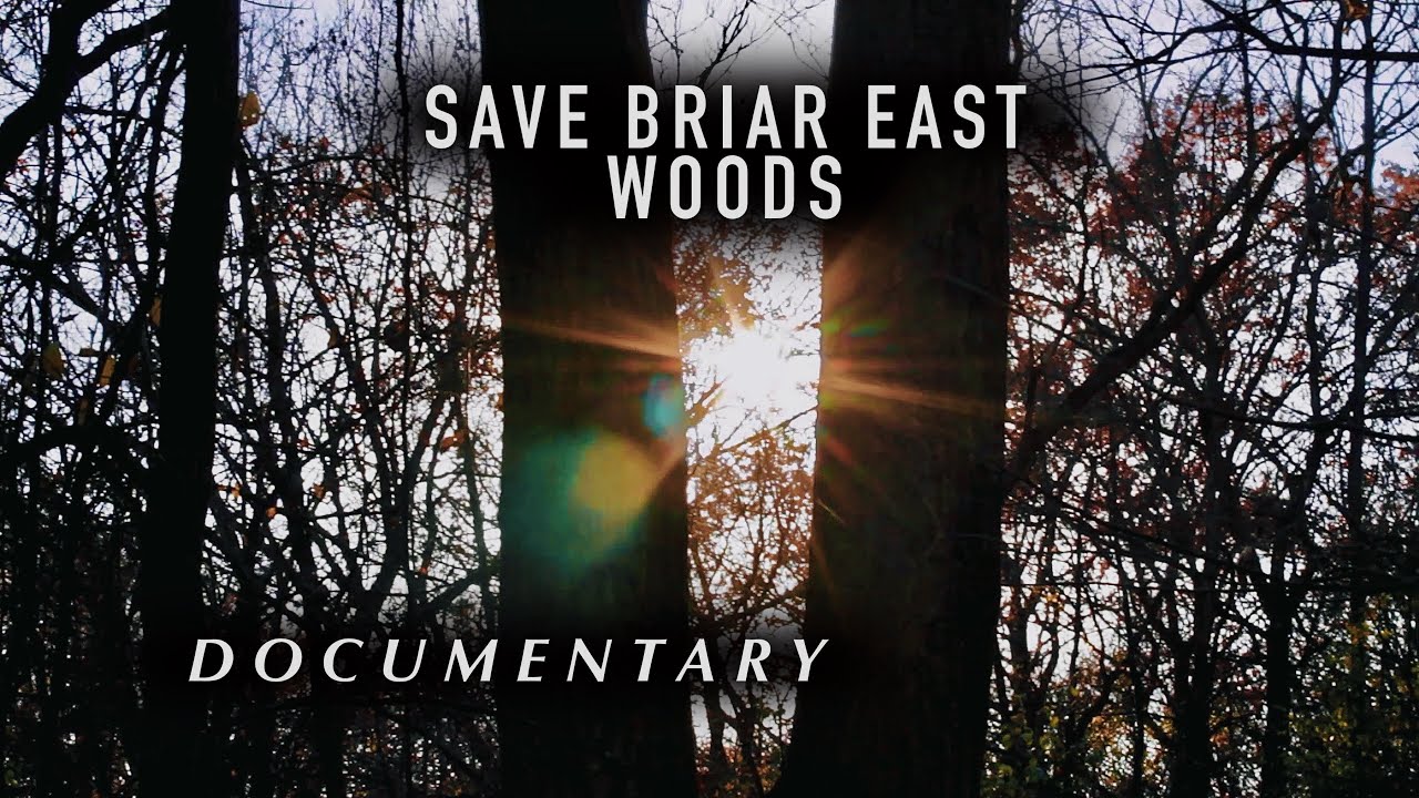 The Briar East Woods Documentary