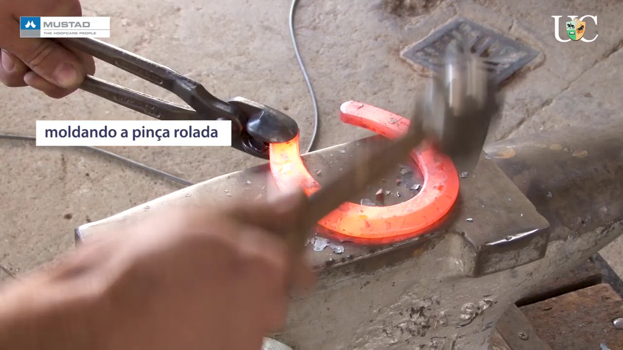 TV UC - Ferradura com pinça rolada em um mangalarga marchador