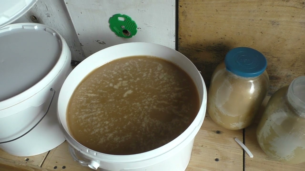 СОХРАНИТЬ СОТЫ И МЁД от ПОРЧИ