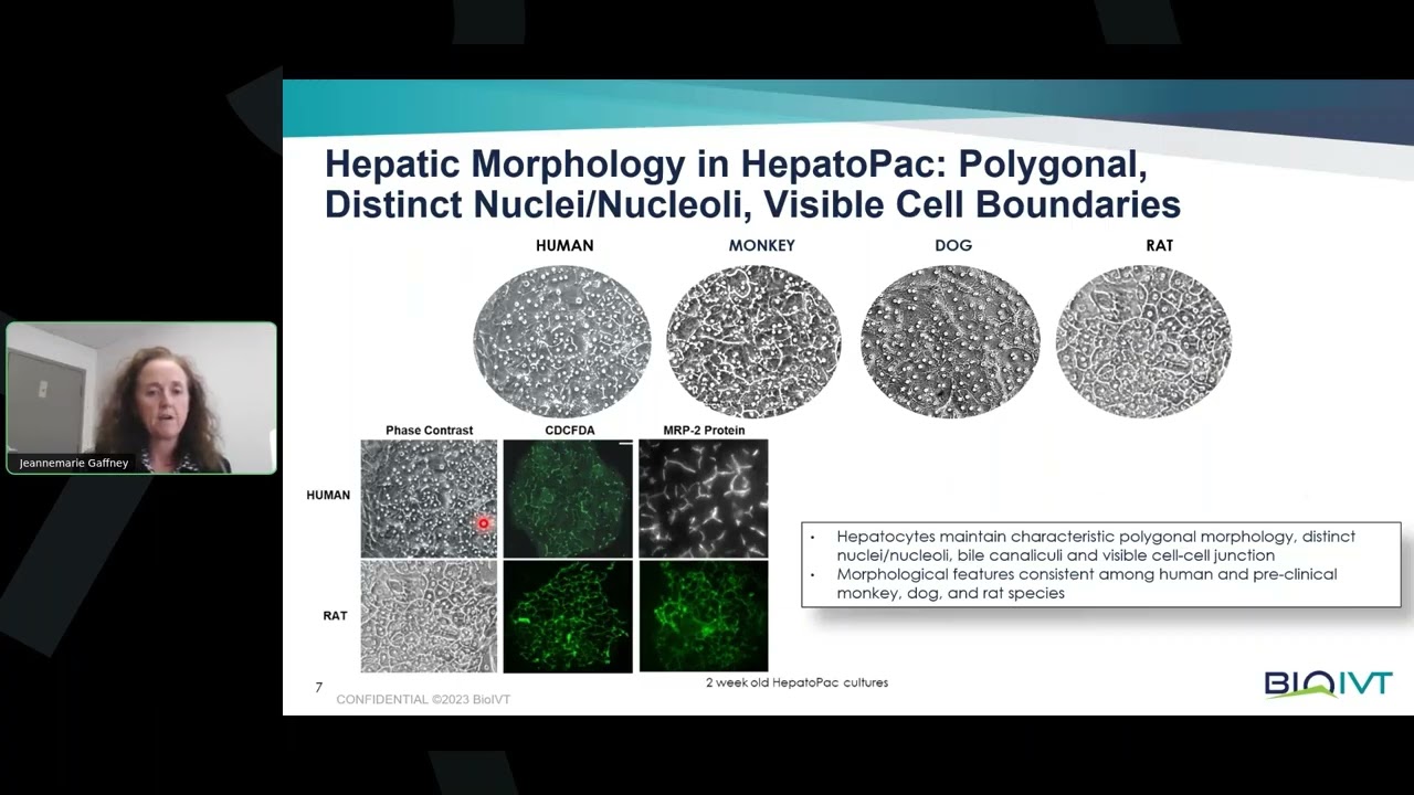 Overcoming Barriers in Drug Metabolism: Reaction Phenotyping Methods for Low Turnover Compound