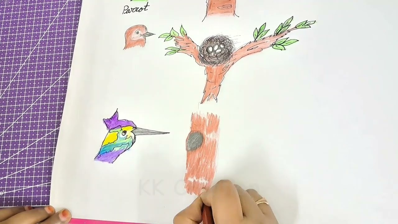 How To Draw Birds And Their Nests | Easy Drawing