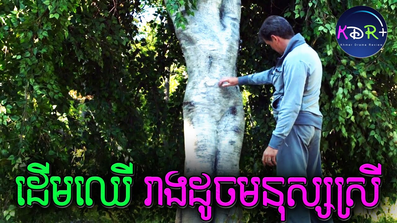 អាថ៌កំបាំង នៅពីក្រោមដើមឈើមួយដើមដែលមានរាងដូចអ្នកចម្រៀងស្រី | Bag of Bones - សម្រាយរឿង