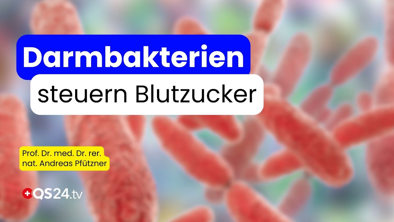 Das Geheimnis im Darm: Wie unsere Bakterien den Blutzucker steuern | QS24 Wissenschafts-Gremium
