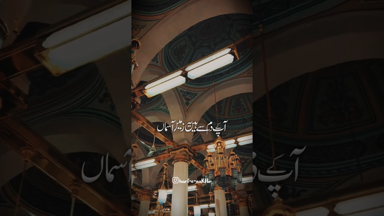 Meri Jaanib Bhi ek.Umme habiba#shotrs #ytstudio #harfeaakhir