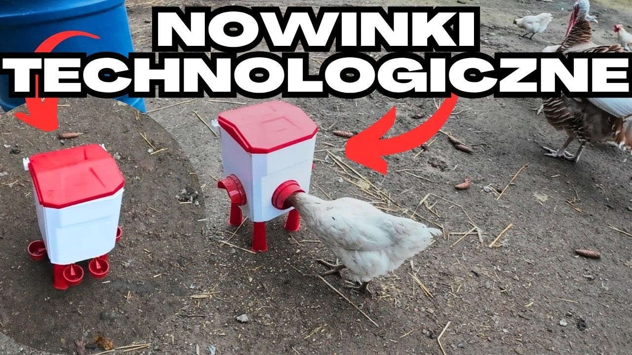 Nowe karmidło i poidło dla drobiu