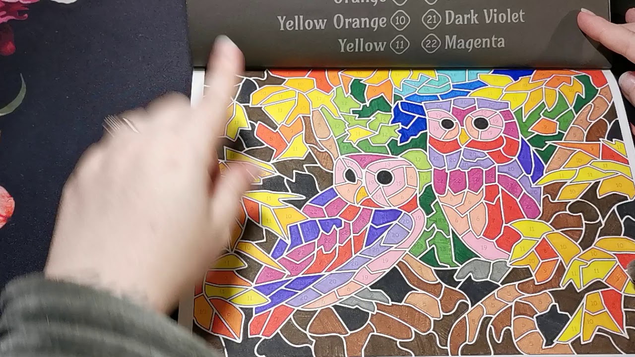 Completed Colouring Book | Animal Mosiac Color By Numbers ~ Sunlife Drawing