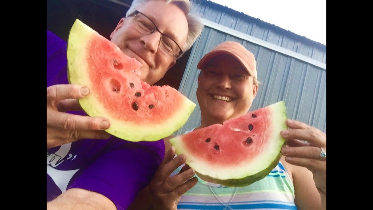 How To Know If Your Watermelon Is Ripe - 100% Foolproof!