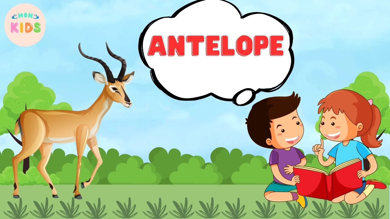 Antelope Facts For Kids 😊 Learn All About Antelopes | MON Kids