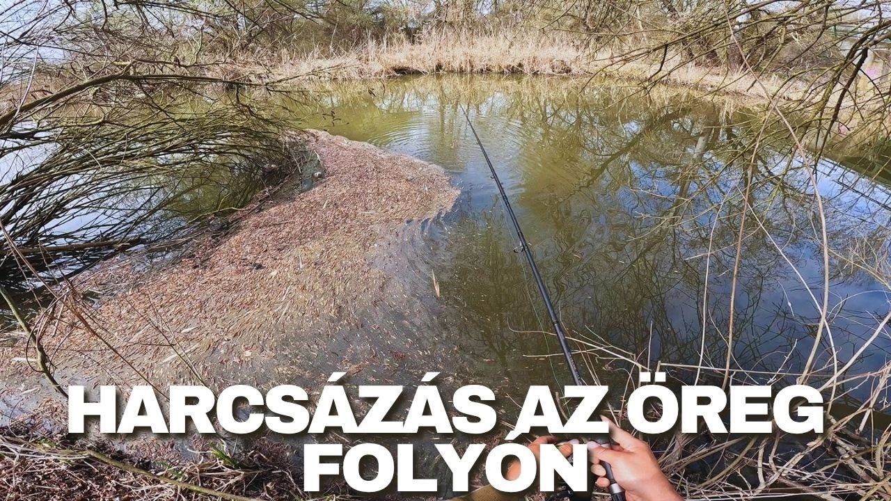 Cserkelő harcsa horg&aacute;szat a Hortob&aacute;gy foly&oacute;n, a kezdetek #fishing