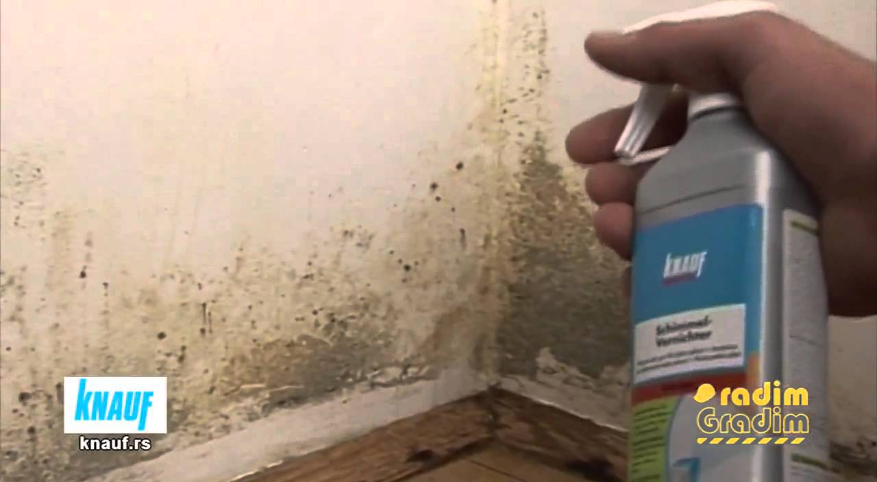 ▶ KNAUF Odstranjivač buđi i odstranjivač ulja i masnoća