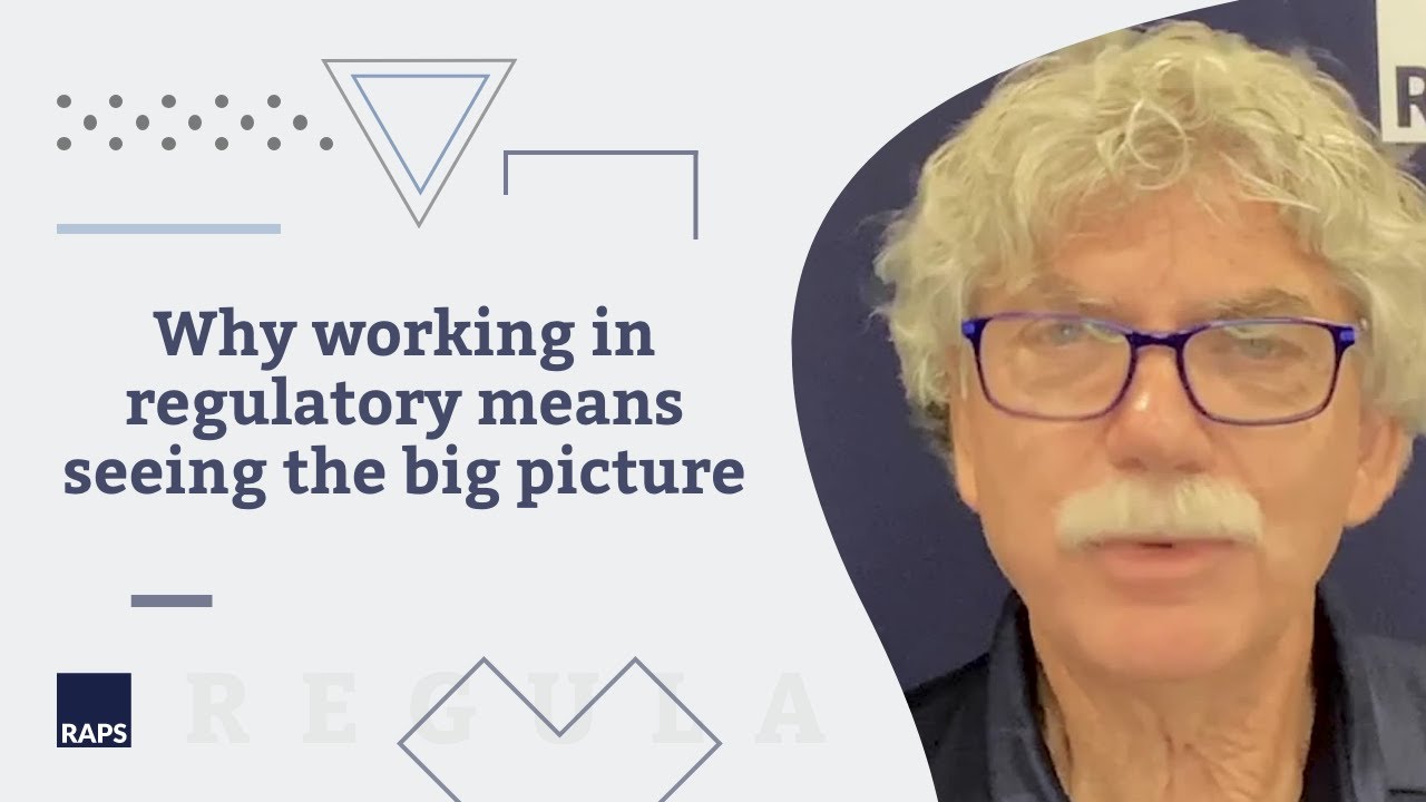 Why working in regulatory affairs means seeing the big picture
