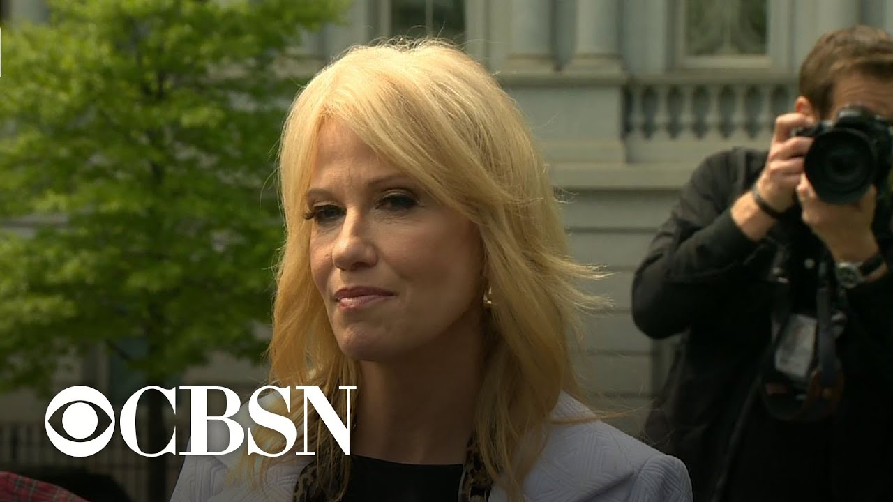Kellyanne Conway calls Mueller probe 