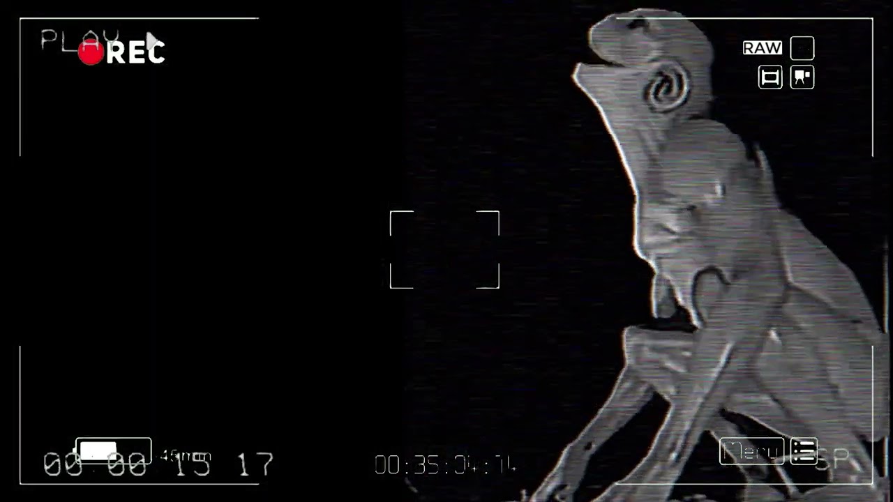 tape01 Frog man