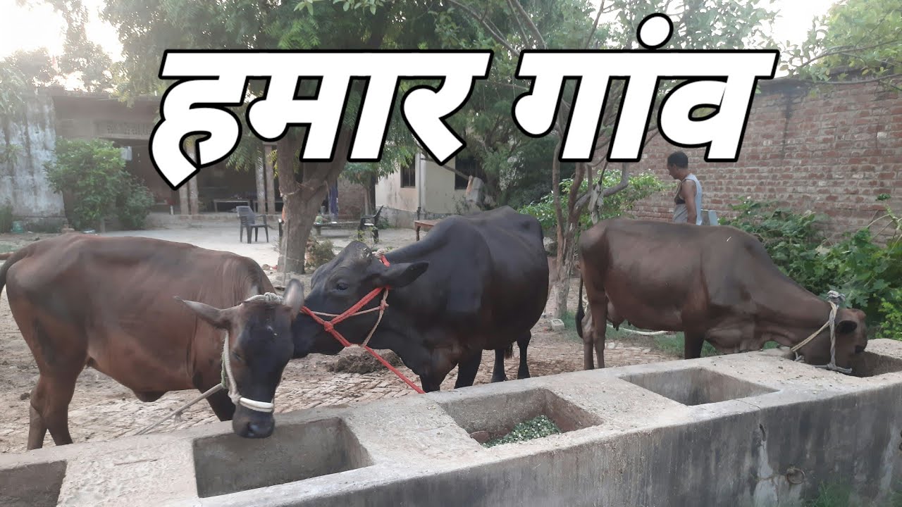 Hamara Gaon ,Galahita, Sultanpur Uttar Pradesh. #village #up44 (गांव बड़ा प्यारा लगता है)