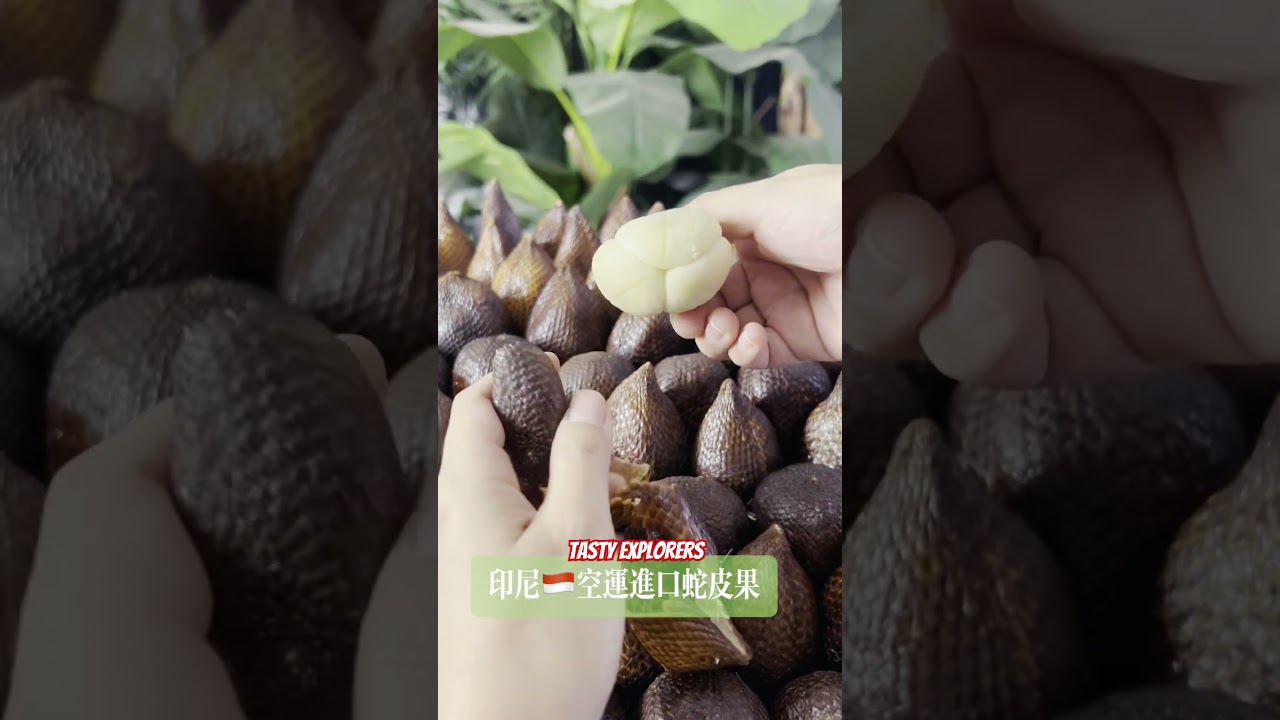 Fresh Indonesian Salak Fruit Unveiled! 🐍🍂 #salak #indonesia #fruits