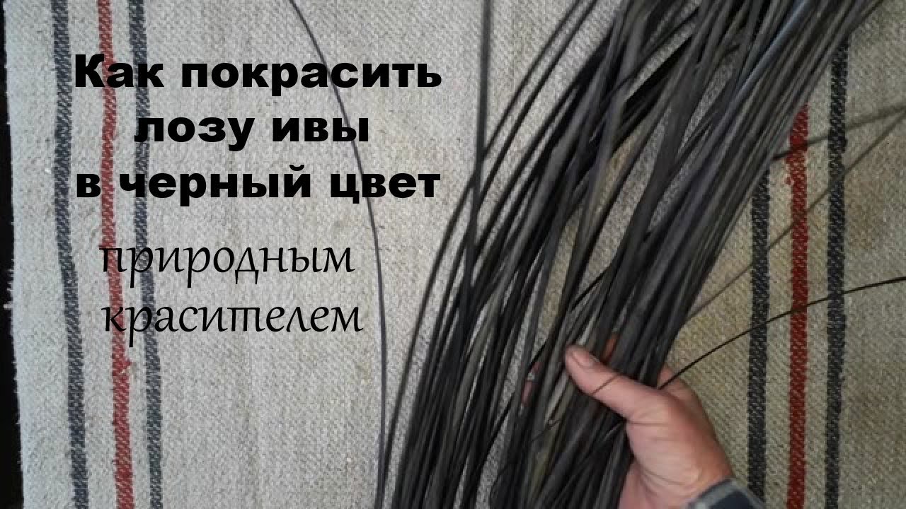 Как покрасить ленту ивы в черный цвет без химии