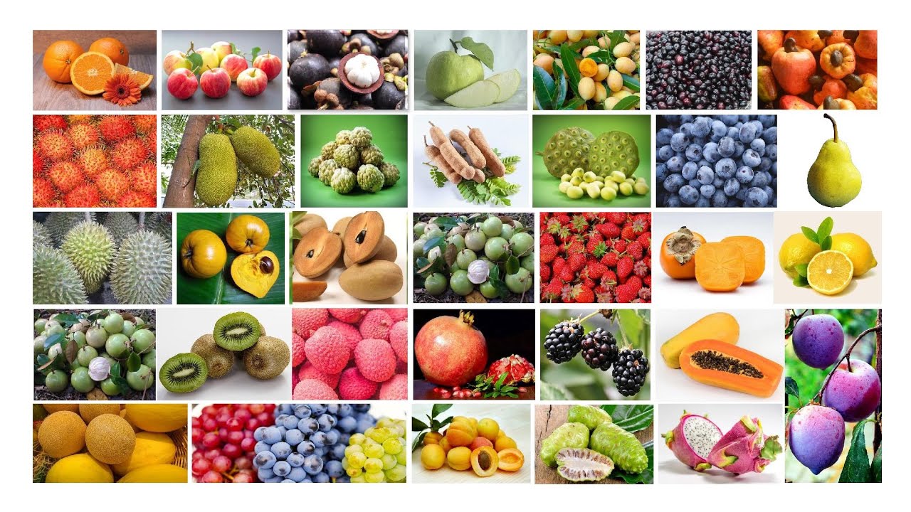 100+ Names of Fruits in English | Fruits Name English Learning | Popular Fruits of the World