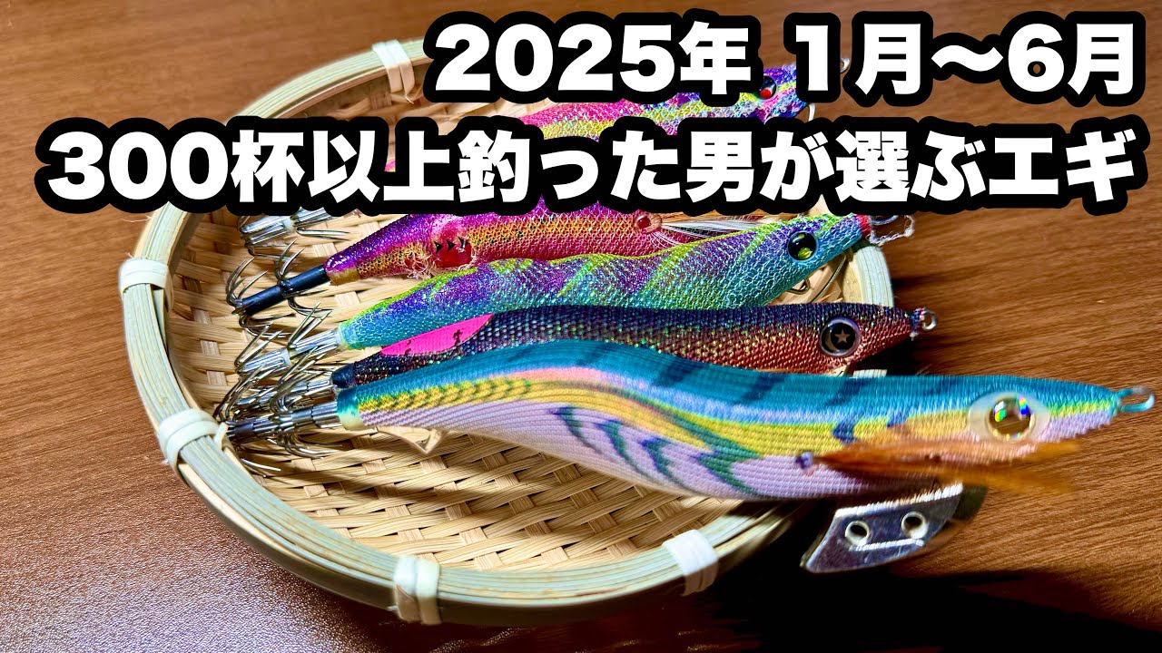 ［エギング］実績があったエギ紹介します‼️2025