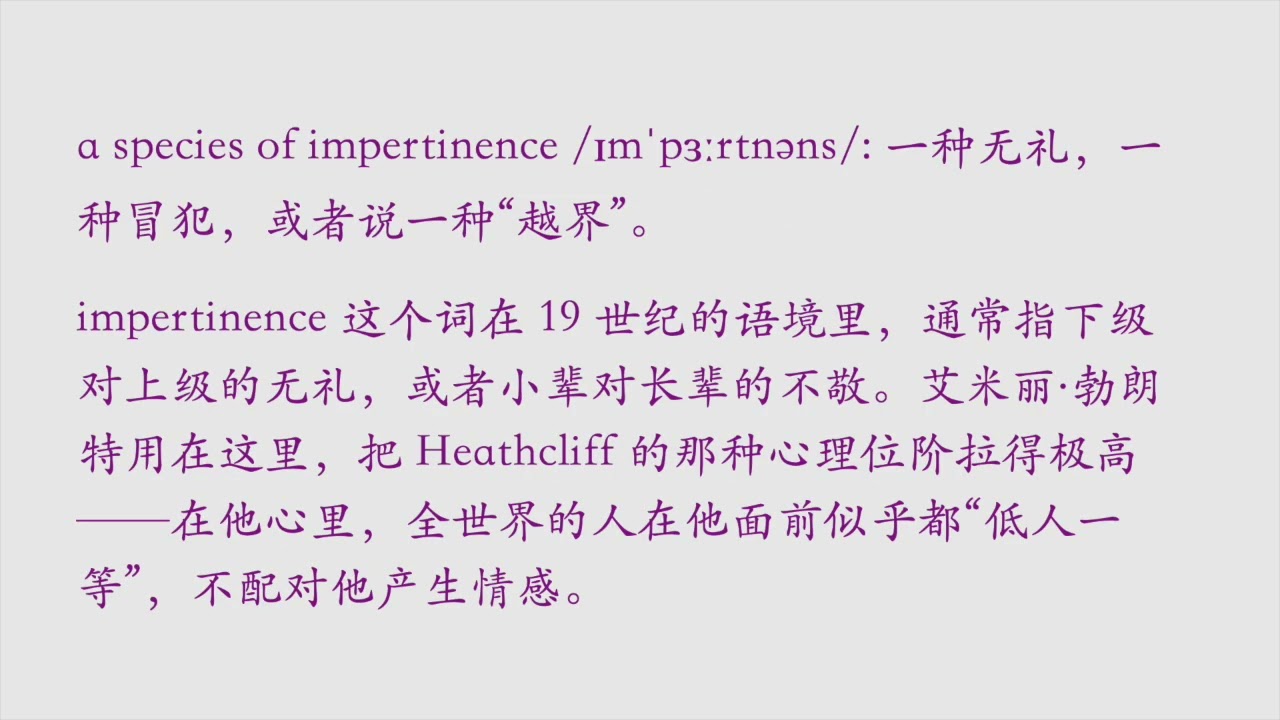 呼啸山庄第三期 视频