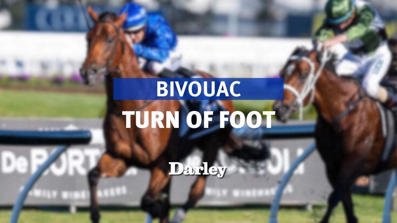 Epic acceleration | Bivouac