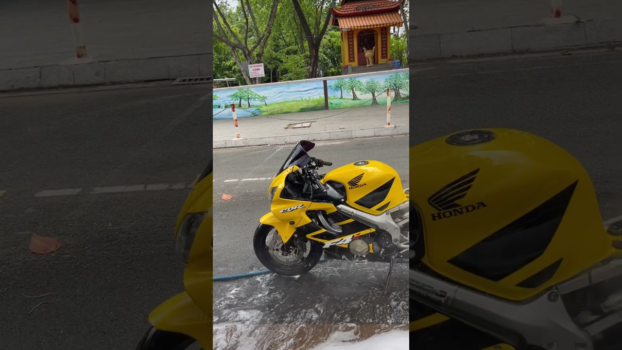 62tr cho một cuộc tình, giấy tờ hợp pháp