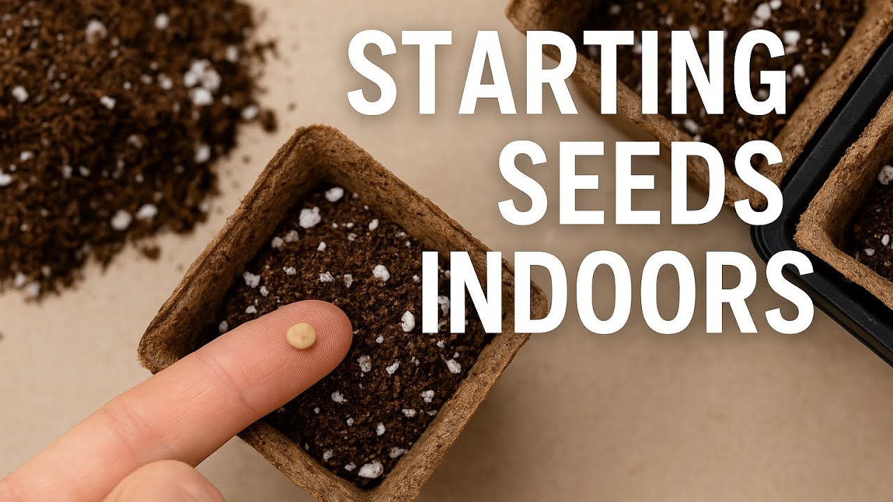 How I Start Seeds Indoors | #Gardening in Canada #gardening #canada #summer