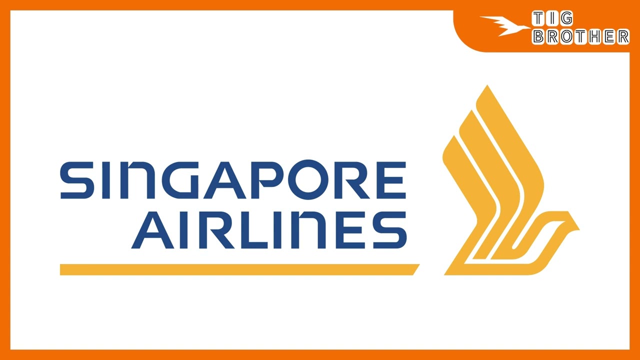 Singapore Airlines Safety Video Music【Tig Brother】