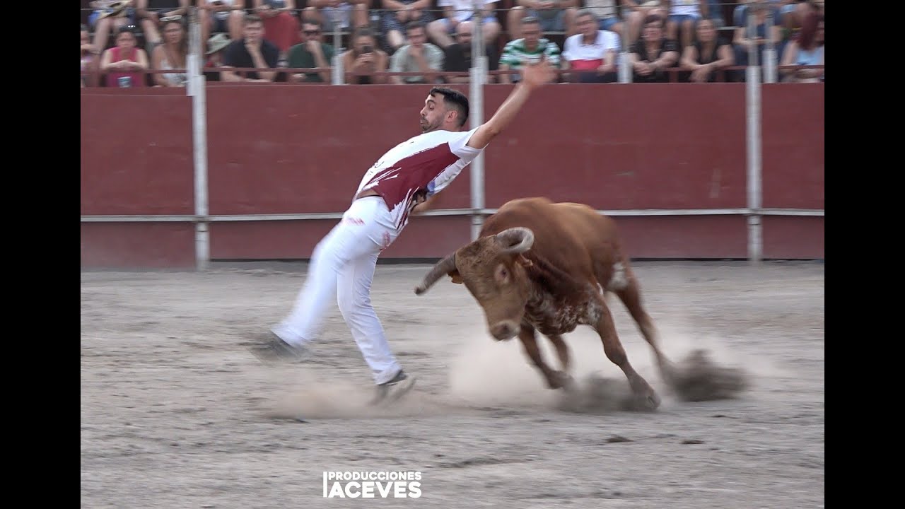 Concurso de Cortes - Tudela de Duero (15-08-25)
