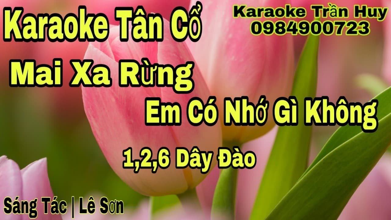 Karaoke Tân Cổ | Mai Xa Rừng Em Có Nhớ Gì Không | 1,2,6 Dây Đào | Beat Trần Huy 2020
