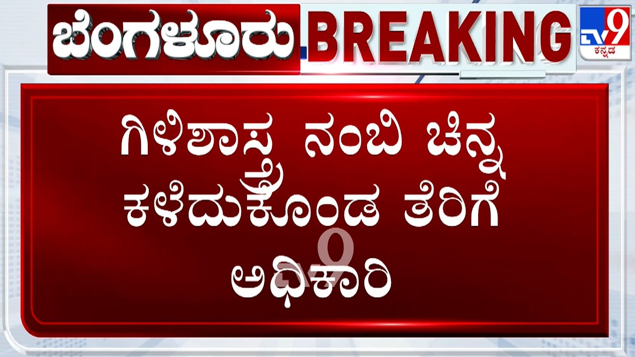 IT Officer Cheated By Parrot Astrologer In Bengaluru, Loses Gold Worth ₹35 Lakh