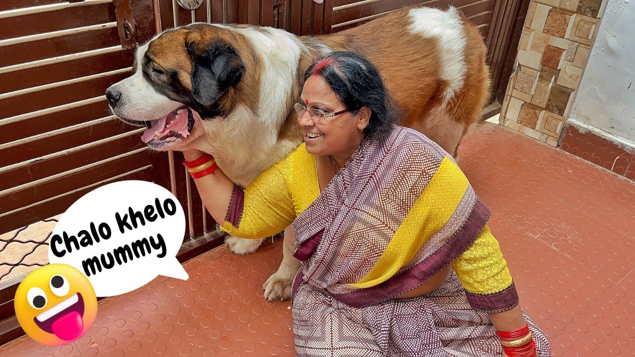 Tyzuu forcing Mom to play🤭🐶❤️