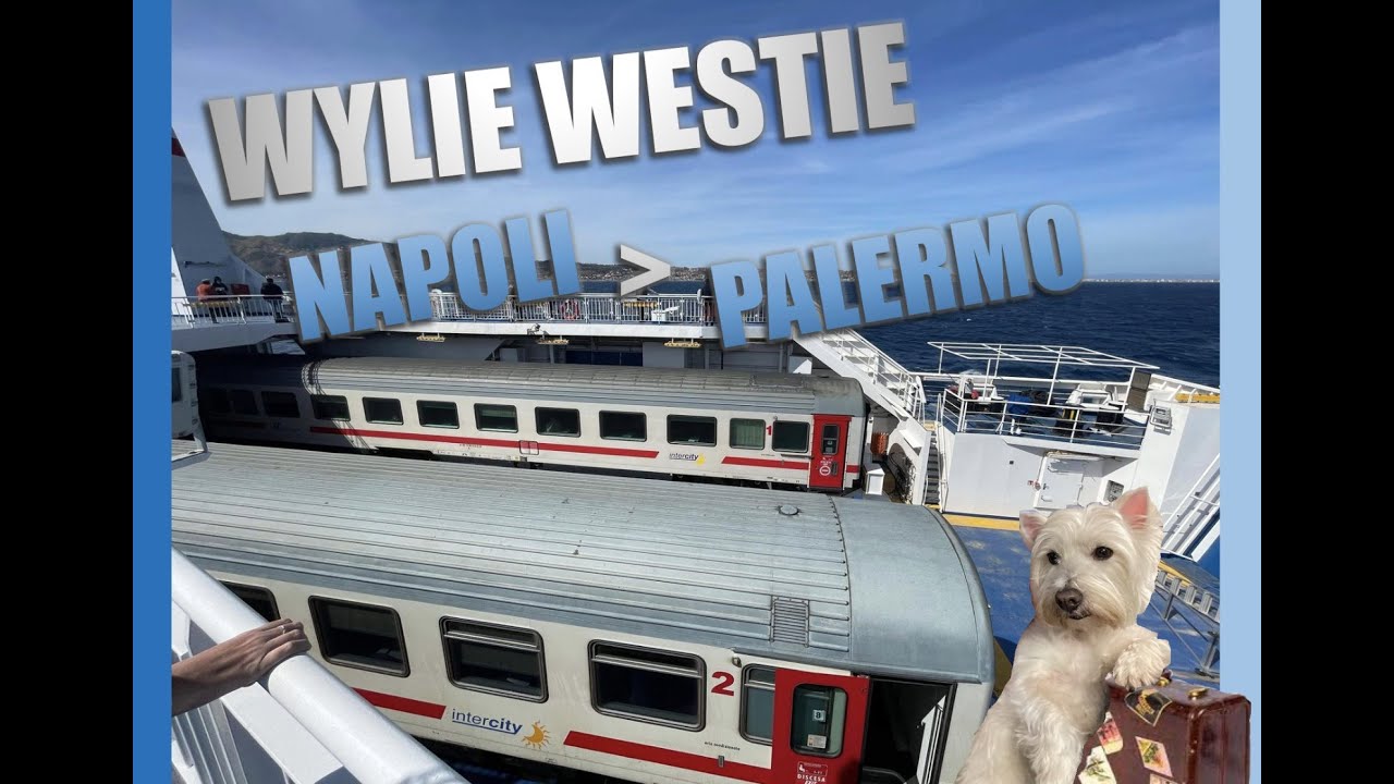 DOG ON A TRAIN ON A FERRY : NAPOLI TO PALERMO : MESSINA CROSSING