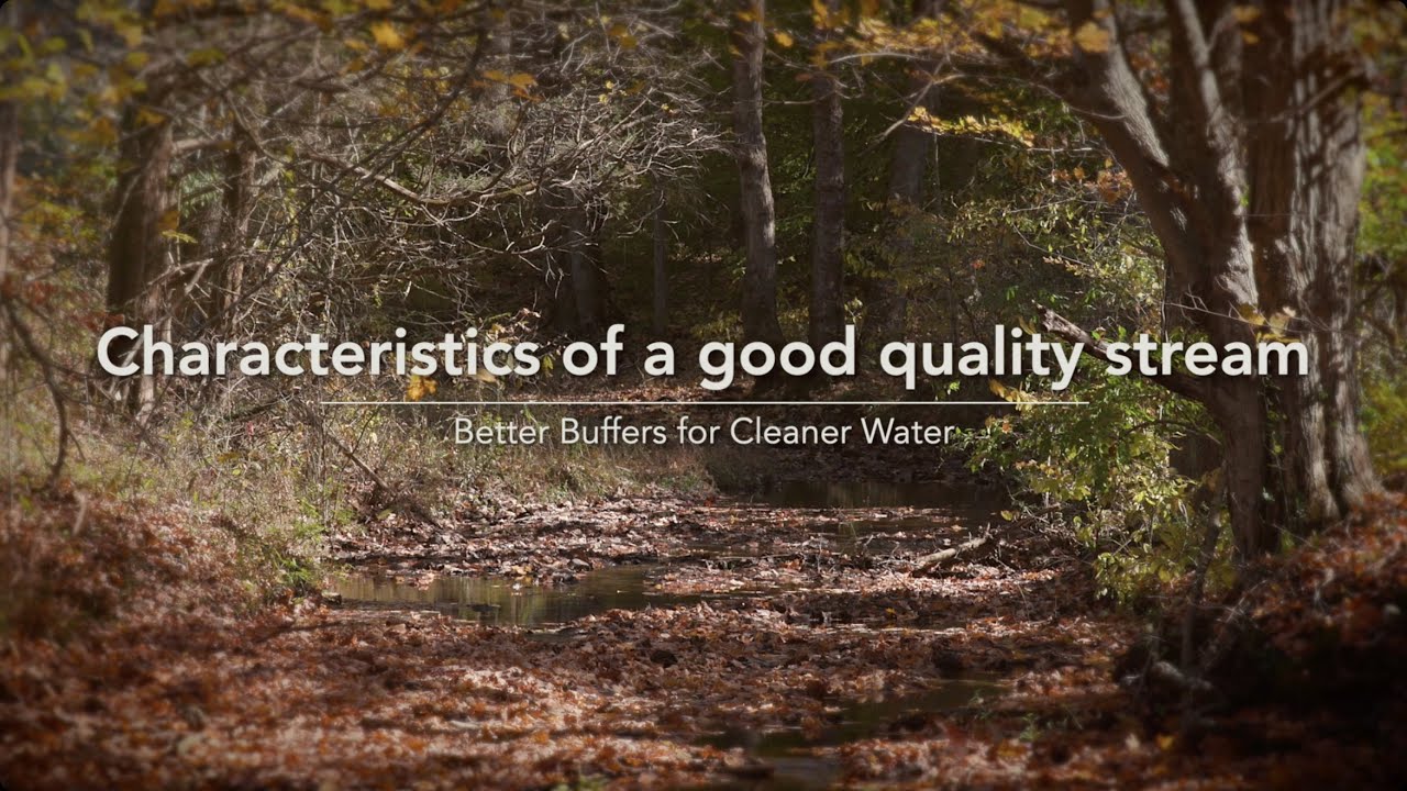 Characteristics of a good quality stream