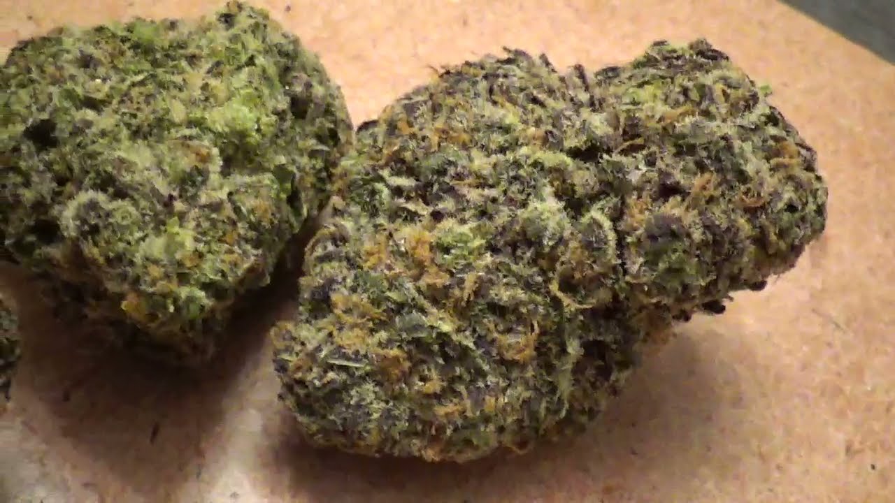 B.C Bud Diary x peyote critical