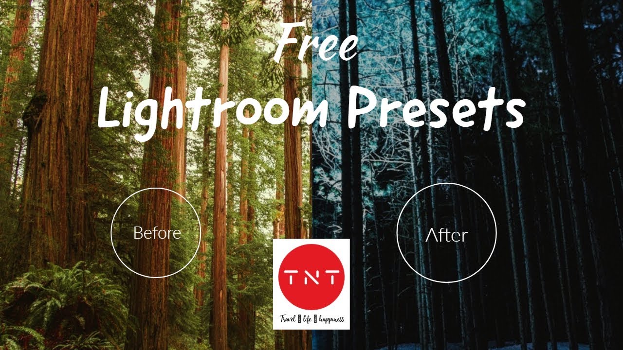 50+ Free Lightroom Presets | Pop up your Pictures (Link in the description)