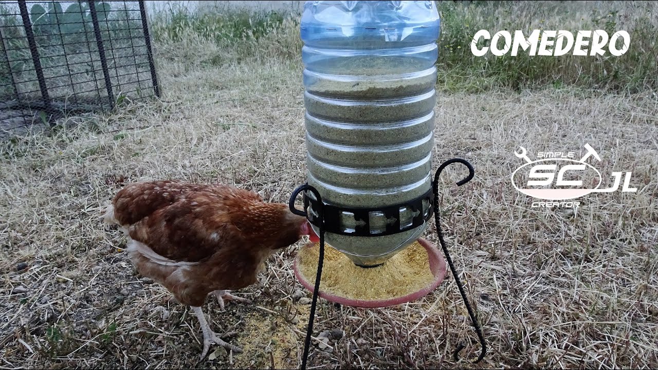 Como Hacer Comedero Casero Para Gallinas/Pollos con soporte de maceta