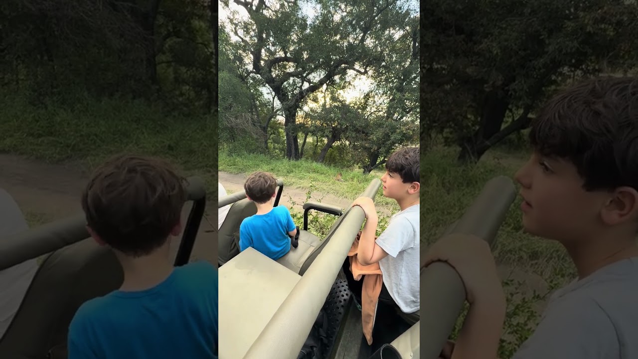 The leopard kingdom (filmed by dad)